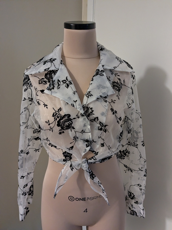 Ali & Kris Tops - Vintage Y2K Sheer Collared Top